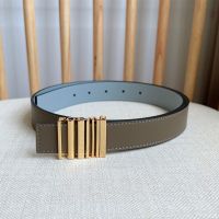 Loewe Graphic Logo Buckle Belt 2.8 In Smooth Calfskin Grey/Gold